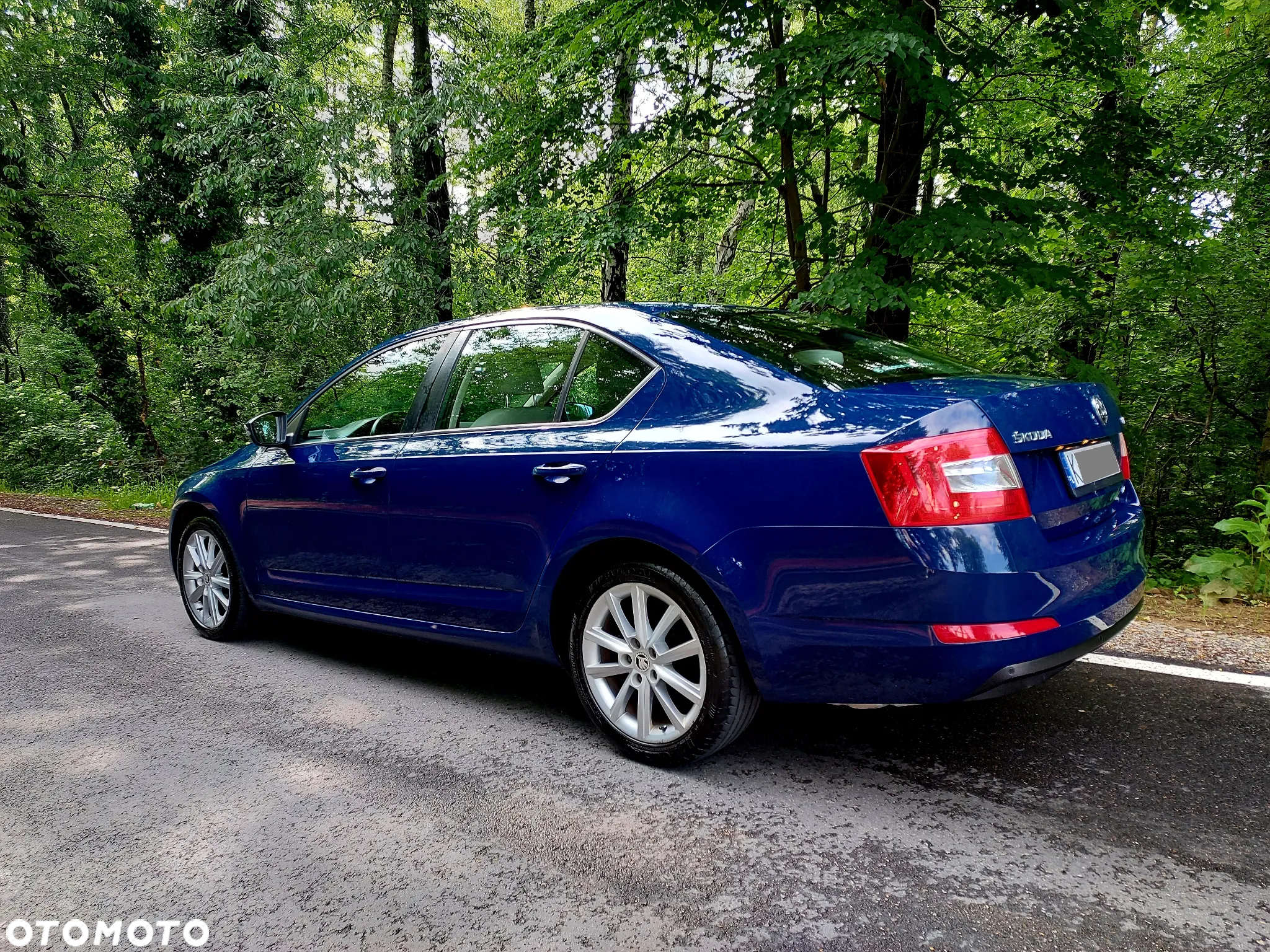 Skoda Octavia 2.0 TDI 4x4 Elegance - 5