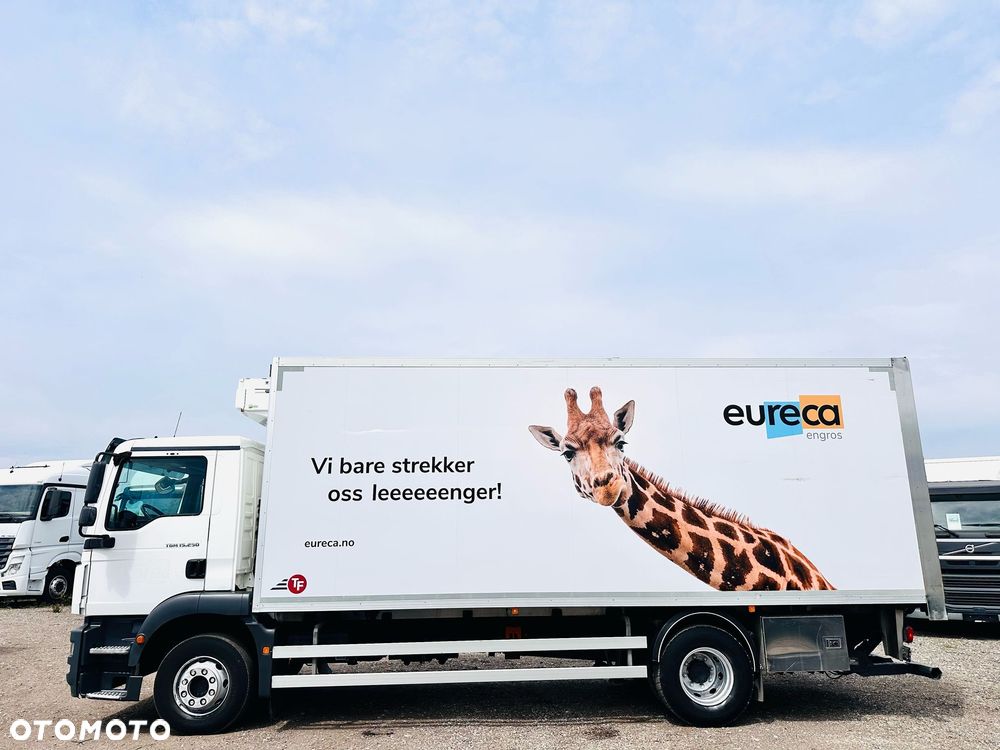 MAN TGM 15.250 / MULTITEMPERATURA / WINDA / DMC 15500kg - 5