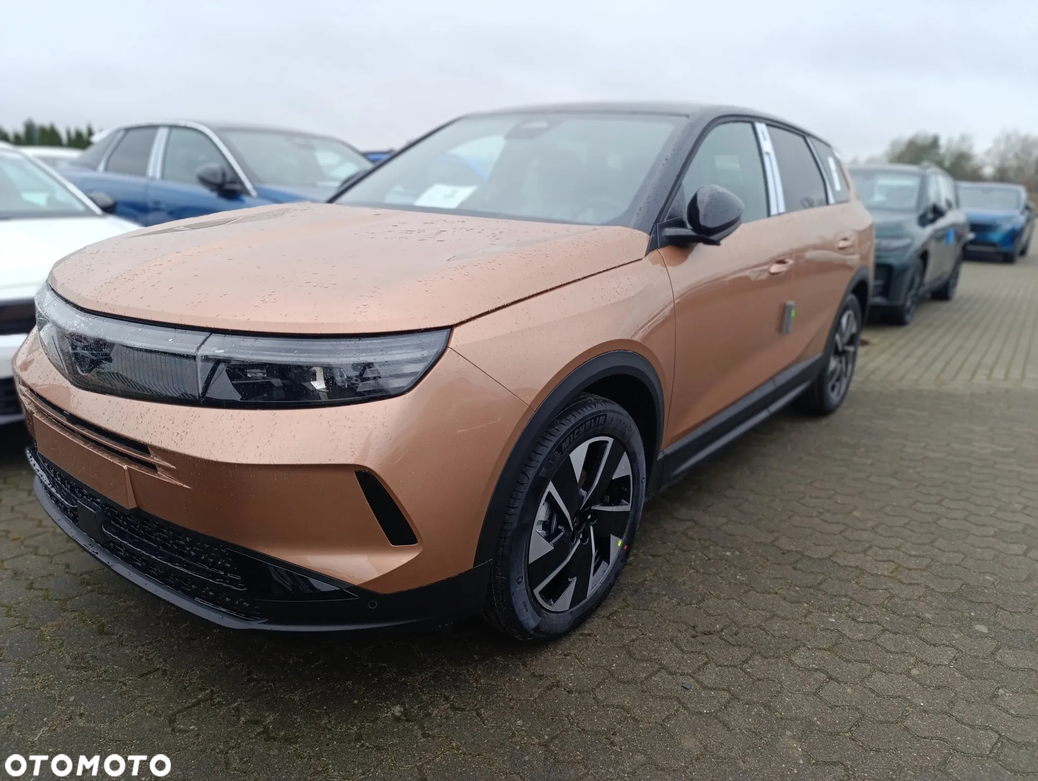 Opel Grandland 1.2 T mHEV GS S&S eDTC6 - 2