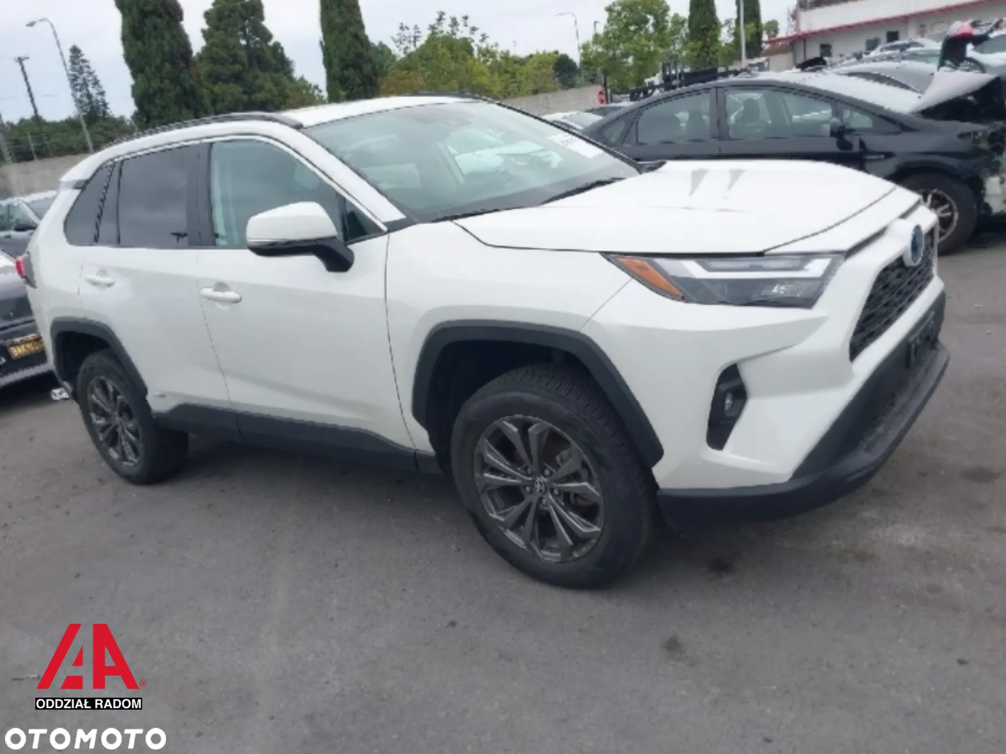 Toyota RAV4 2.0 Executive 4x4 MS - 15