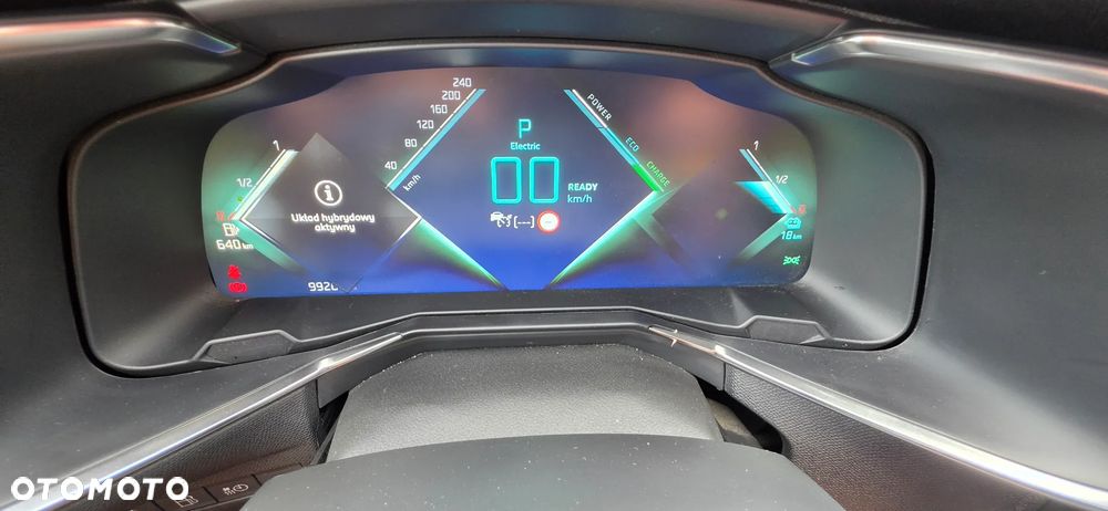 DS Automobiles DS 7 - 18