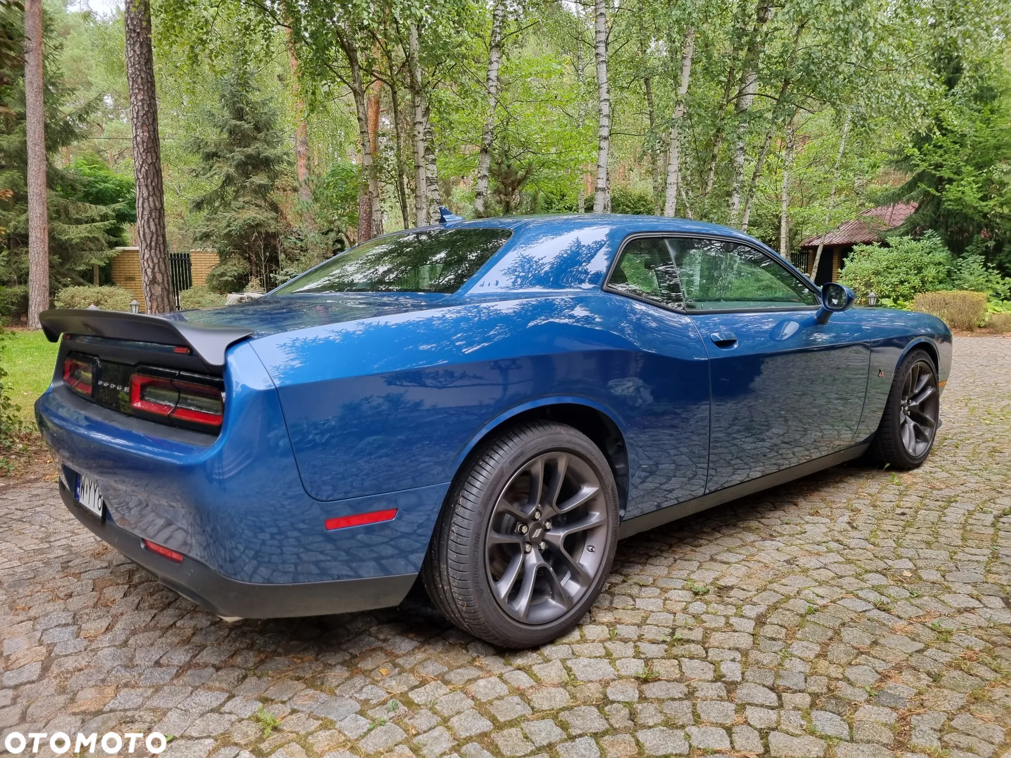 Dodge Challenger 6.4 Scat Pack - 3