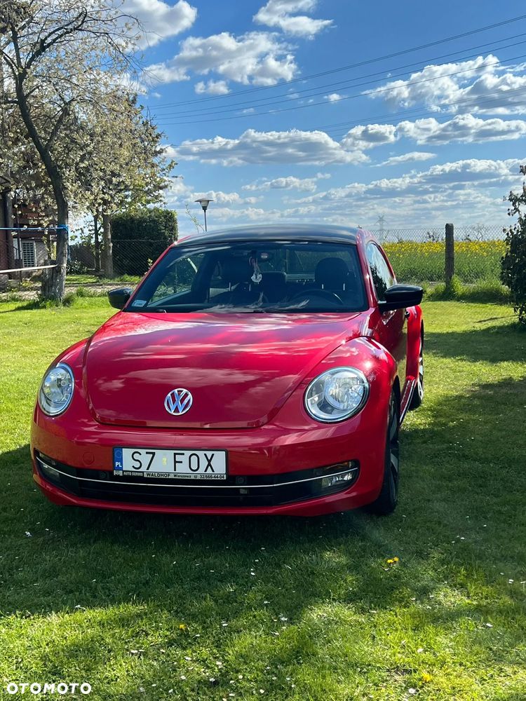 Volkswagen Beetle - 6