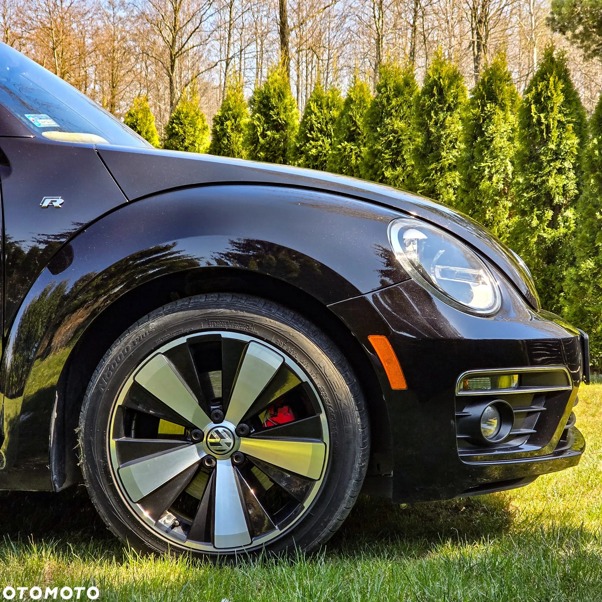 Volkswagen Beetle 2.0 TSI Sport DSG - 9