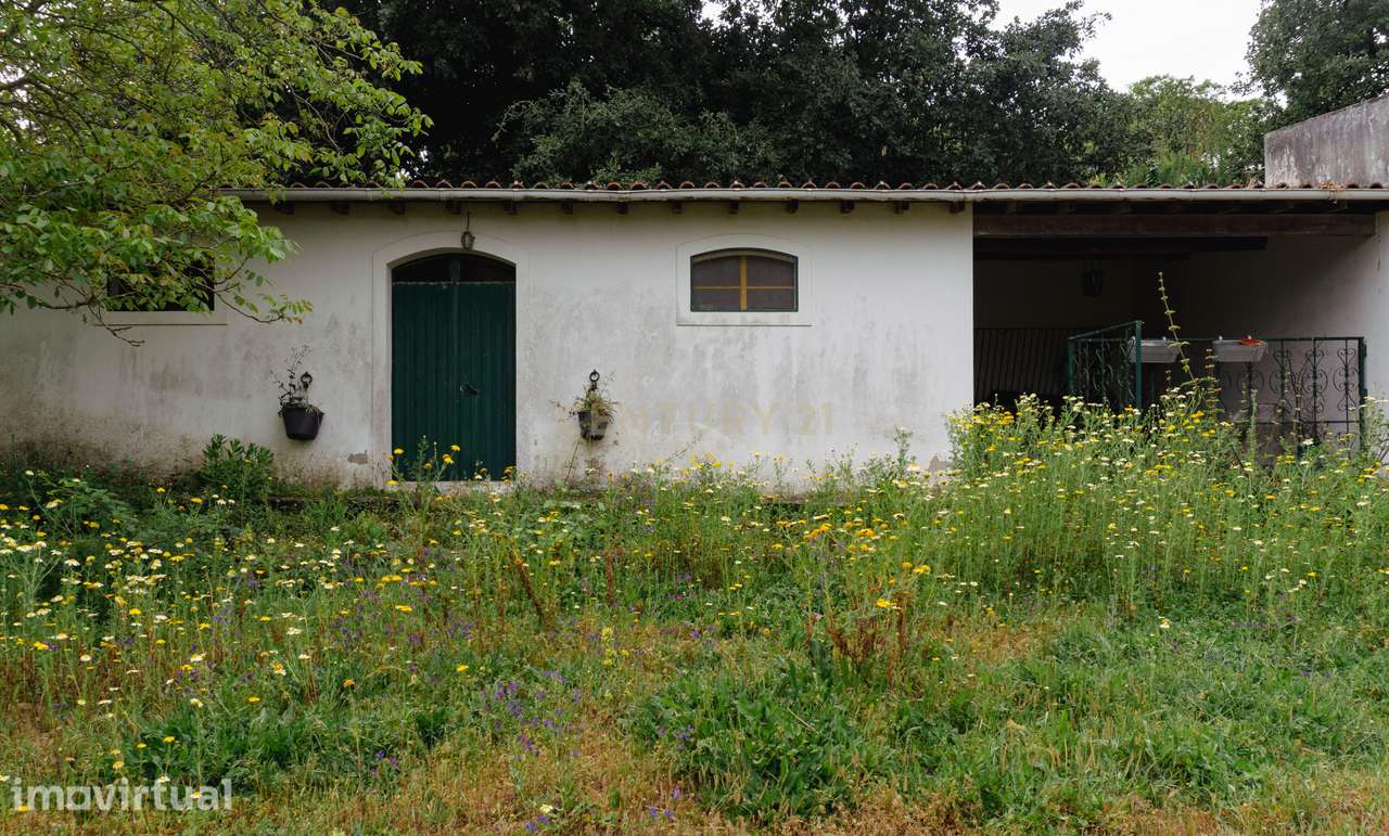 Quintinha em Alenquer com Excelente Potencial – 5,8 Hectares - Grande imagem: 3/27