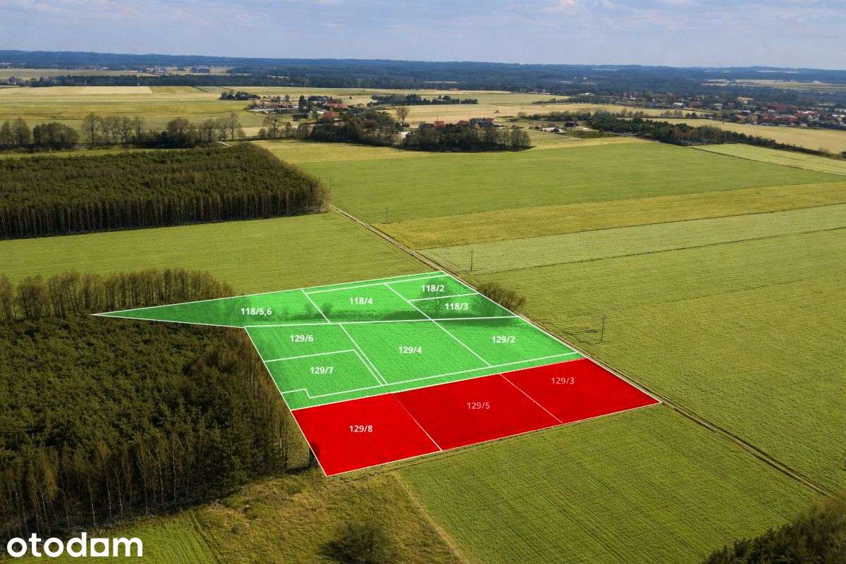 Działki budowlane w otulinie lasu - Pełny obrazek: 4/7