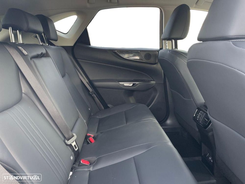 Lexus NX 450h+ Executive - 15