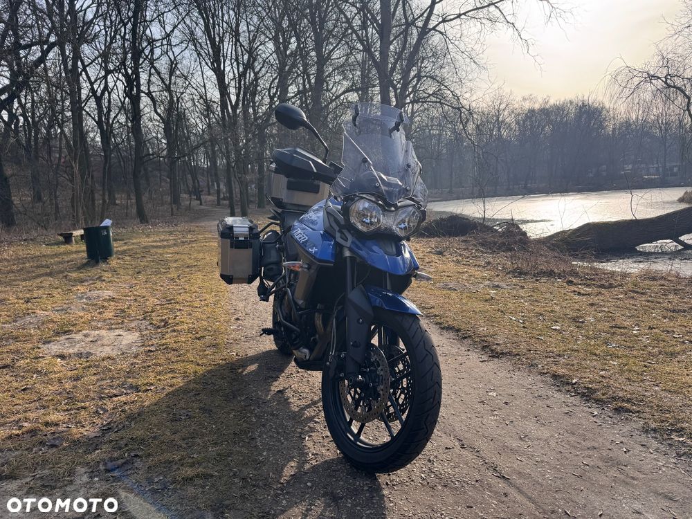 Triumph Tiger - 5