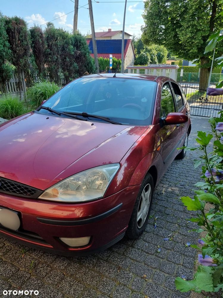 Ford Focus 1.6 FX - 6