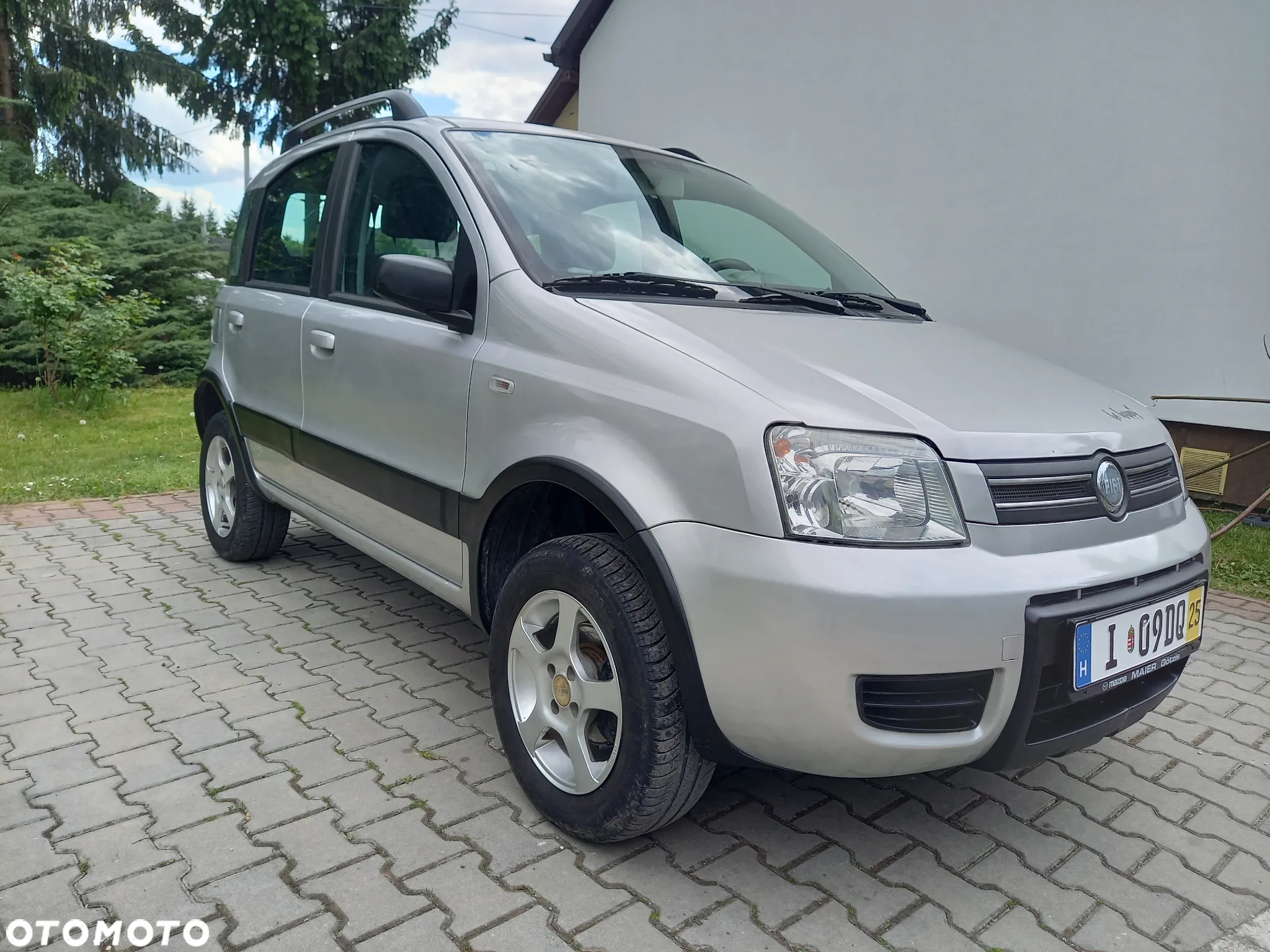 Fiat Panda 1.2 4x4 Classic - 13