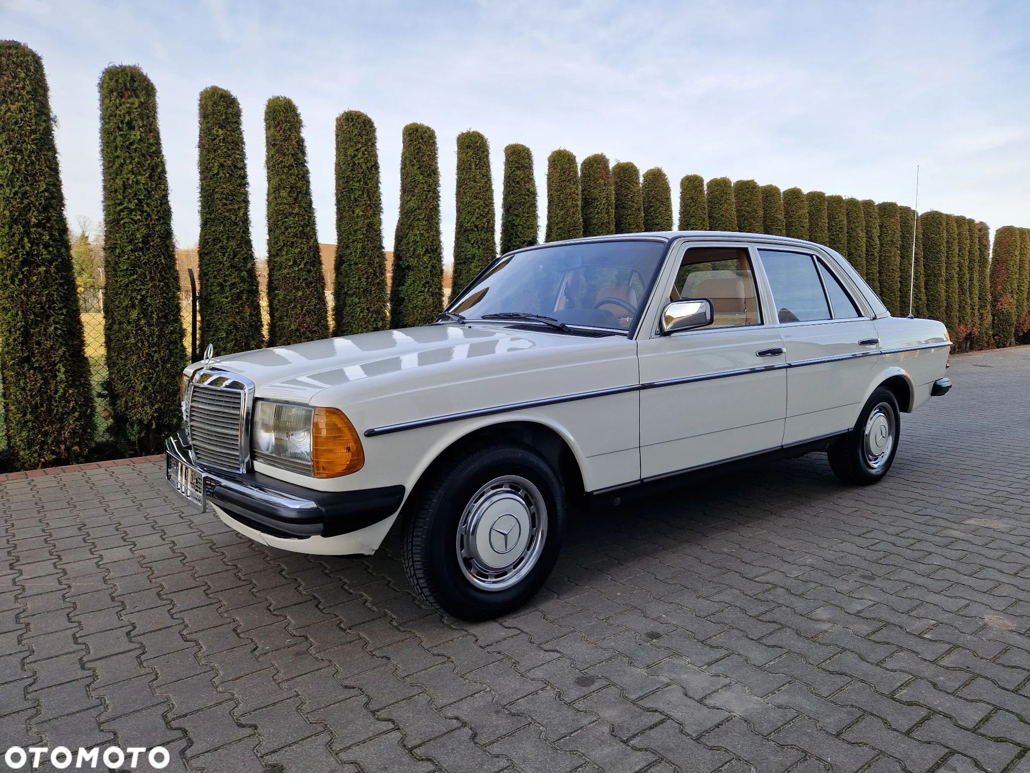 Mercedes-Benz W123 - 4