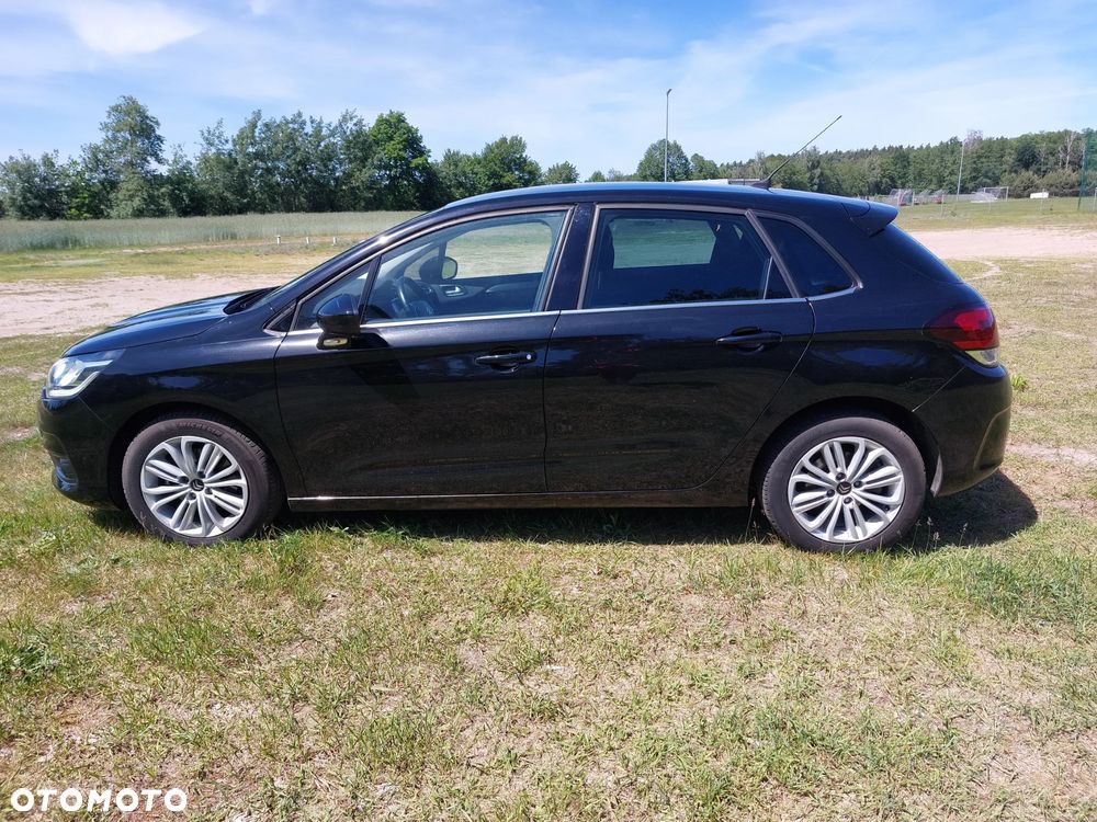 Citroën C4 1.6 BlueHDi Shine S&S EAT6 - 10
