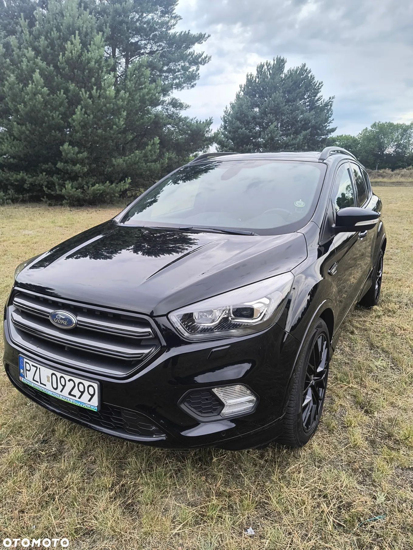 Ford Kuga 2.0 TDCi FWD ST-Line - 1
