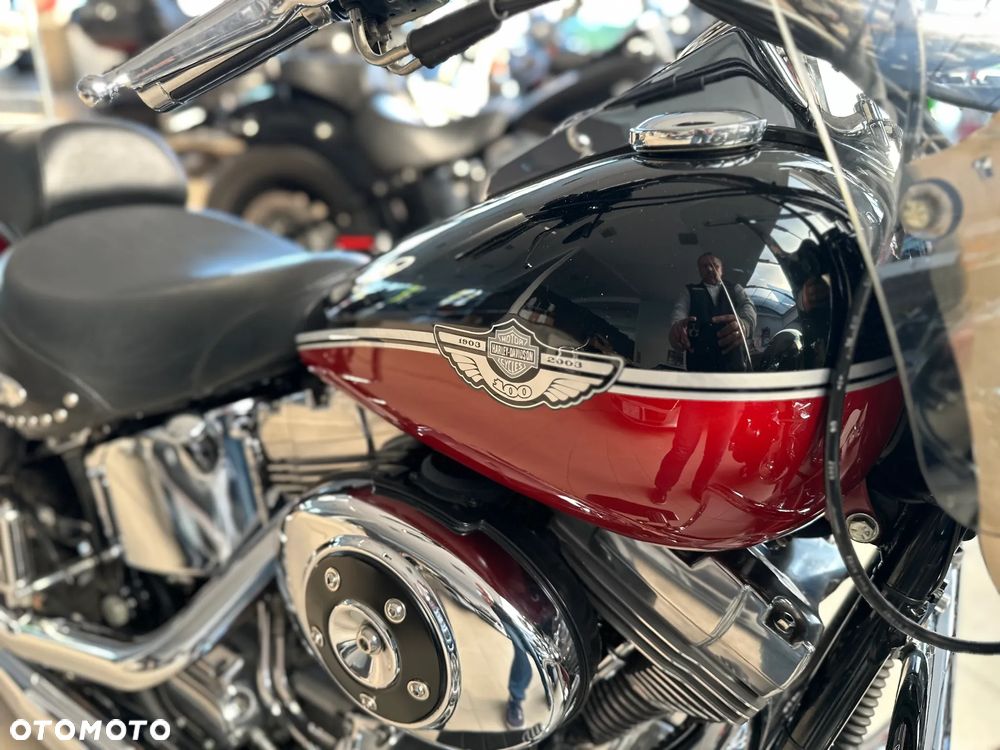 Harley-Davidson Softail - 16