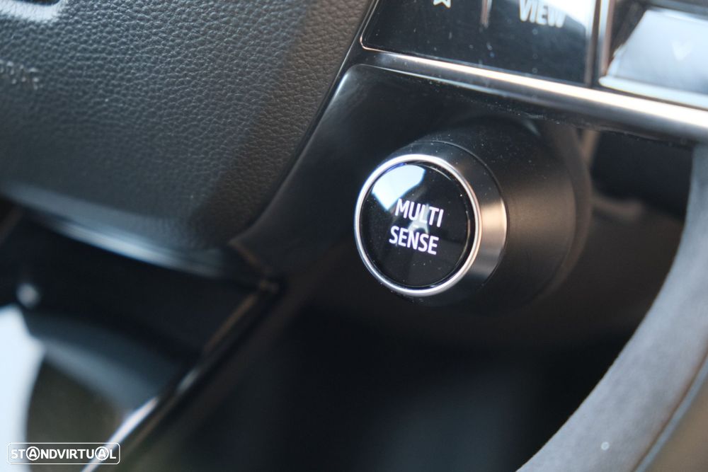 Renault Austral 1.3 Mild Hybrid Techno Esprit Alpine Auto - 31