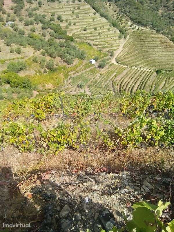 Terreno  para venda - Grande imagem: 3/3