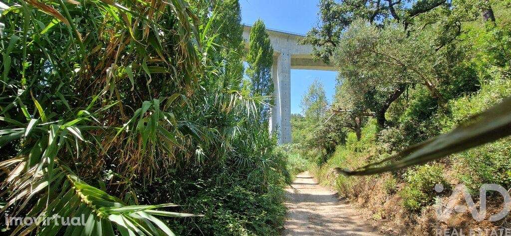 Terreno em Carvoeira de 2187,00 m2 - Grande imagem: 3/19