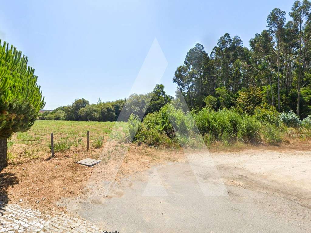 Terreno Plano com 2900M2 a 5Min da Praia - Esmoriz - Grande imagem: 4/4