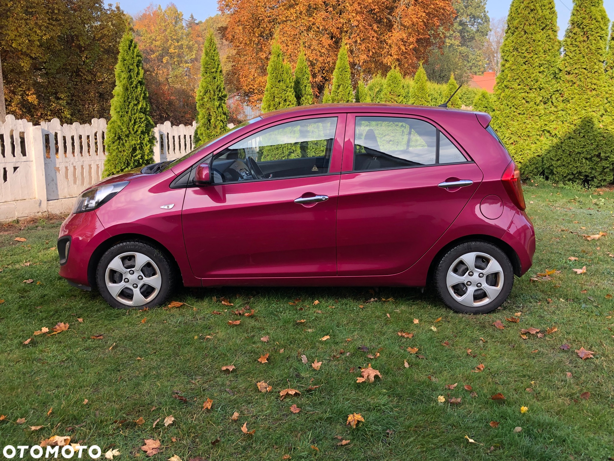 Kia Picanto 1.0 Edition 7 - 5