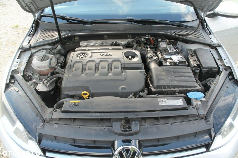 Volkswagen Golf - 13