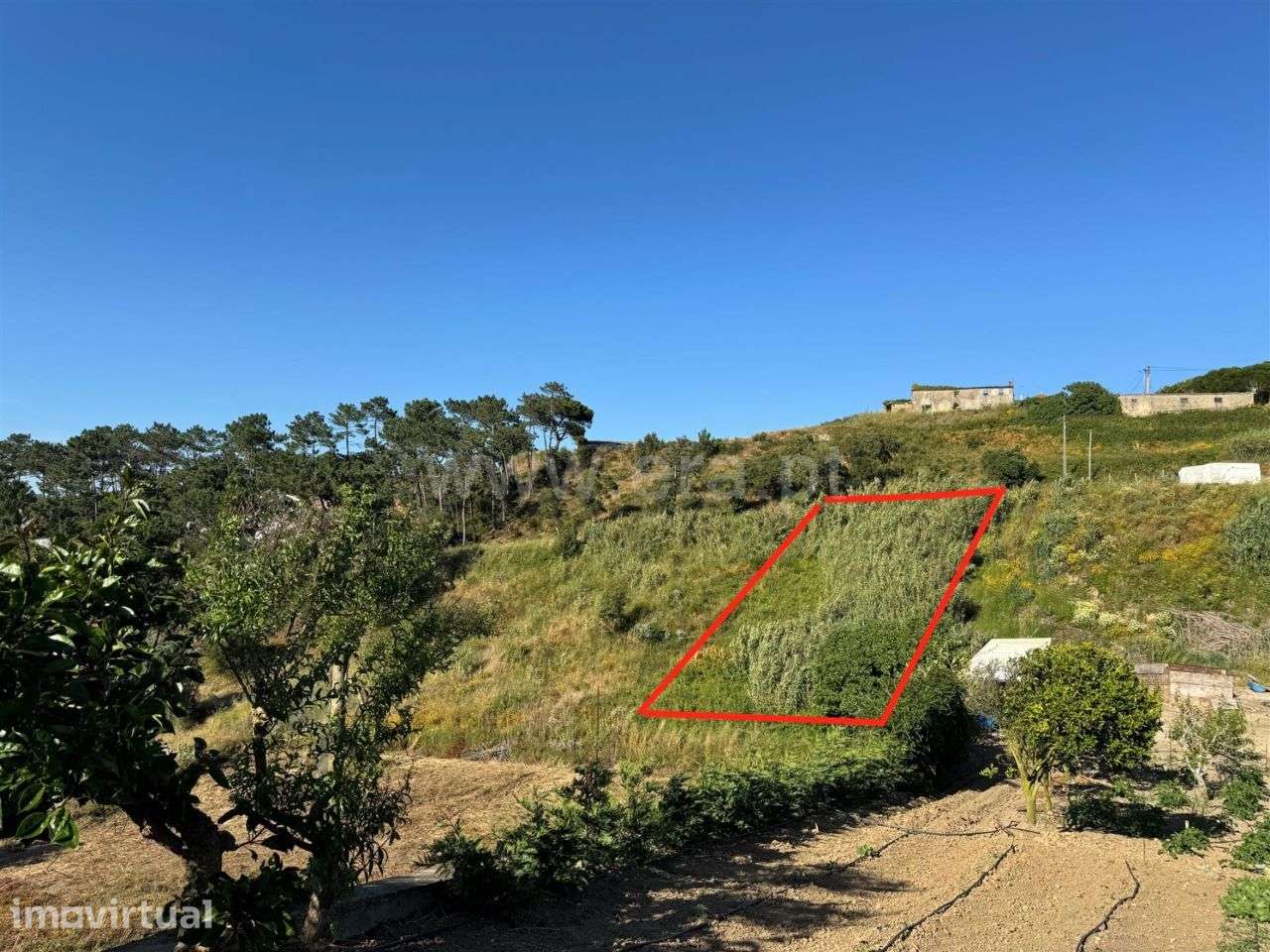 Terreno, 750 m², Santo Isidoro - Grande imagem: 3/14