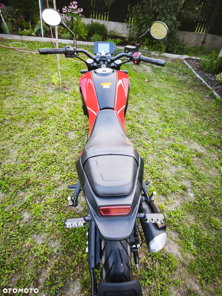 Benelli Leoncino - 7