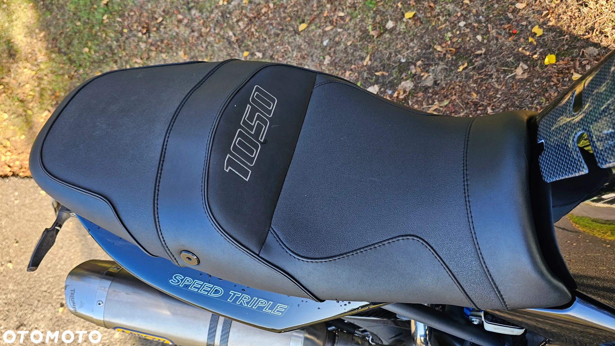 Triumph Speed Triple - 14