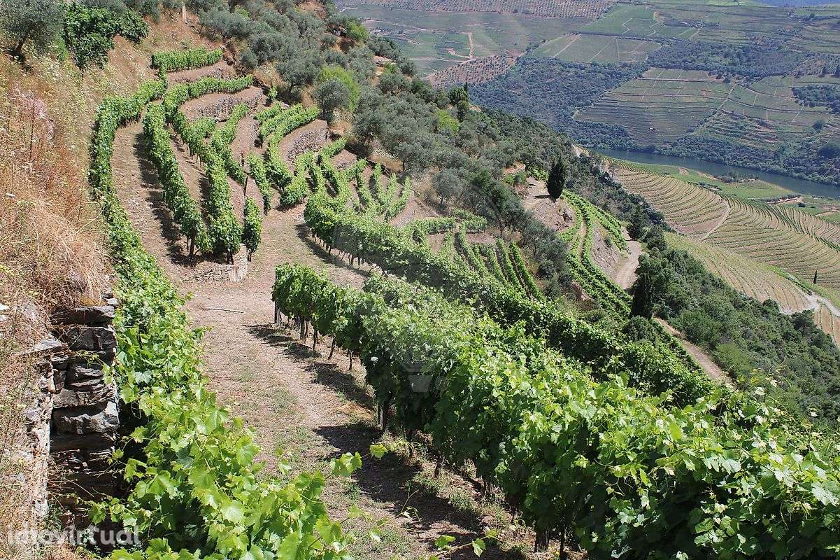 Terreno  para venda - Grande imagem: 3/14