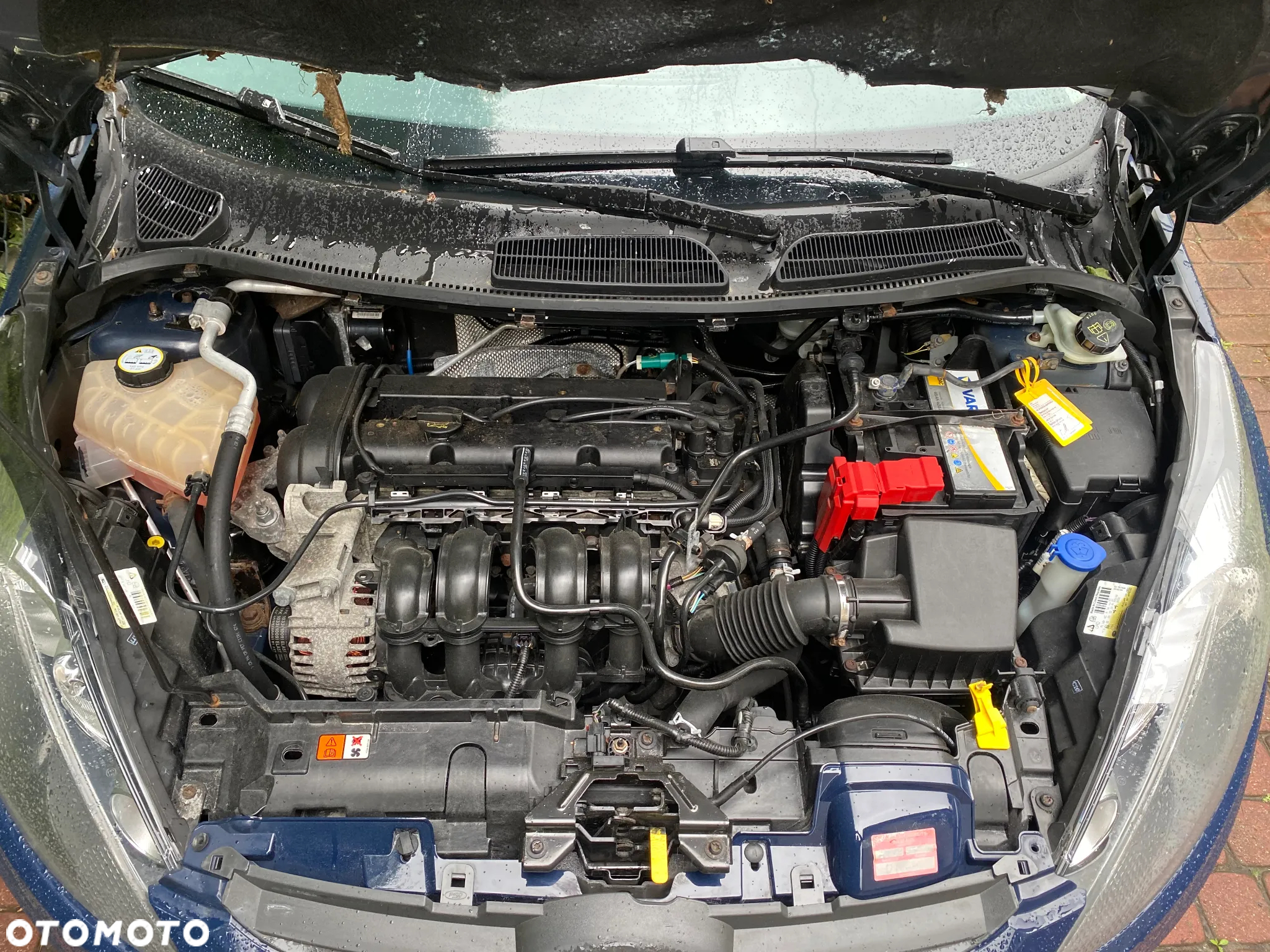 Ford Fiesta 1.25 Celebration - 16