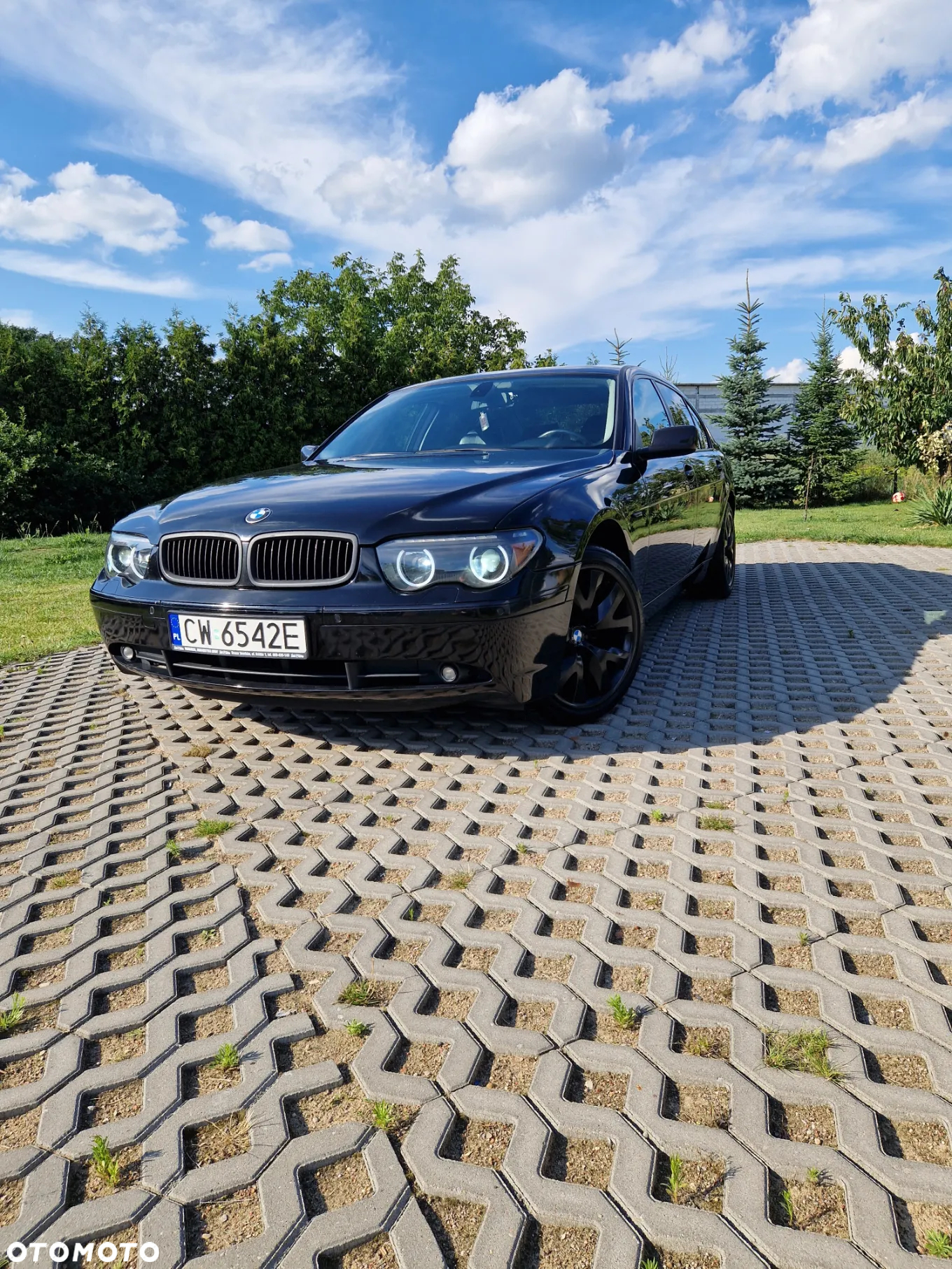 BMW Seria 7 745i L - 16