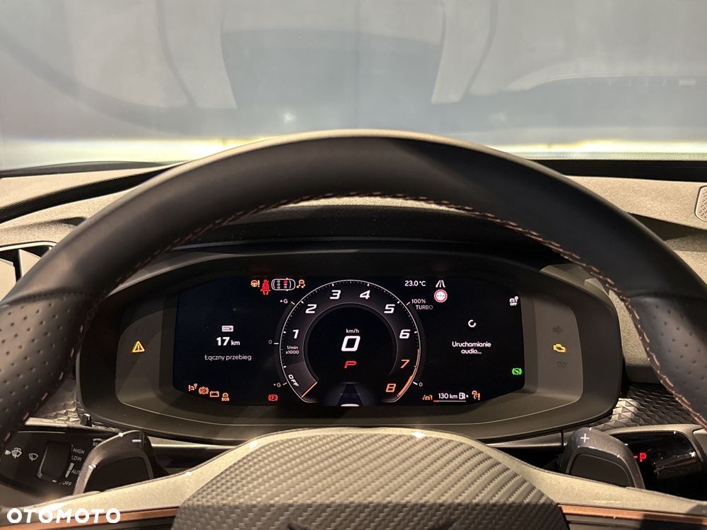 Cupra Terramar 2.0 TSI 4Drive DSG - 15