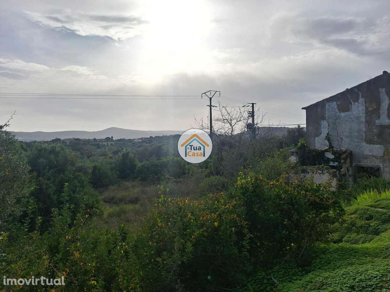 Terreno com Projeto Aprovado - Grande imagem: 4/15