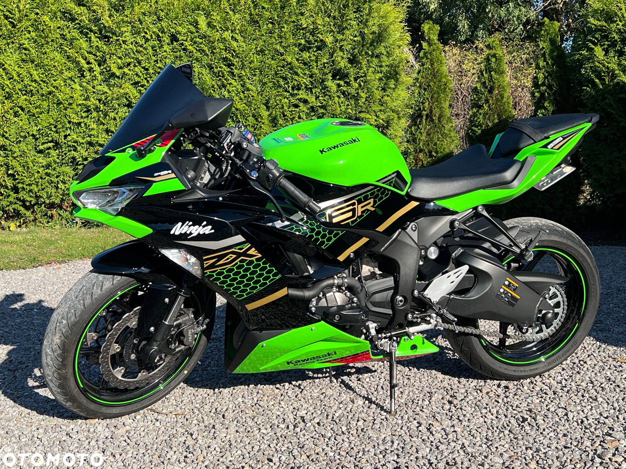 Kawasaki ZXR - 16