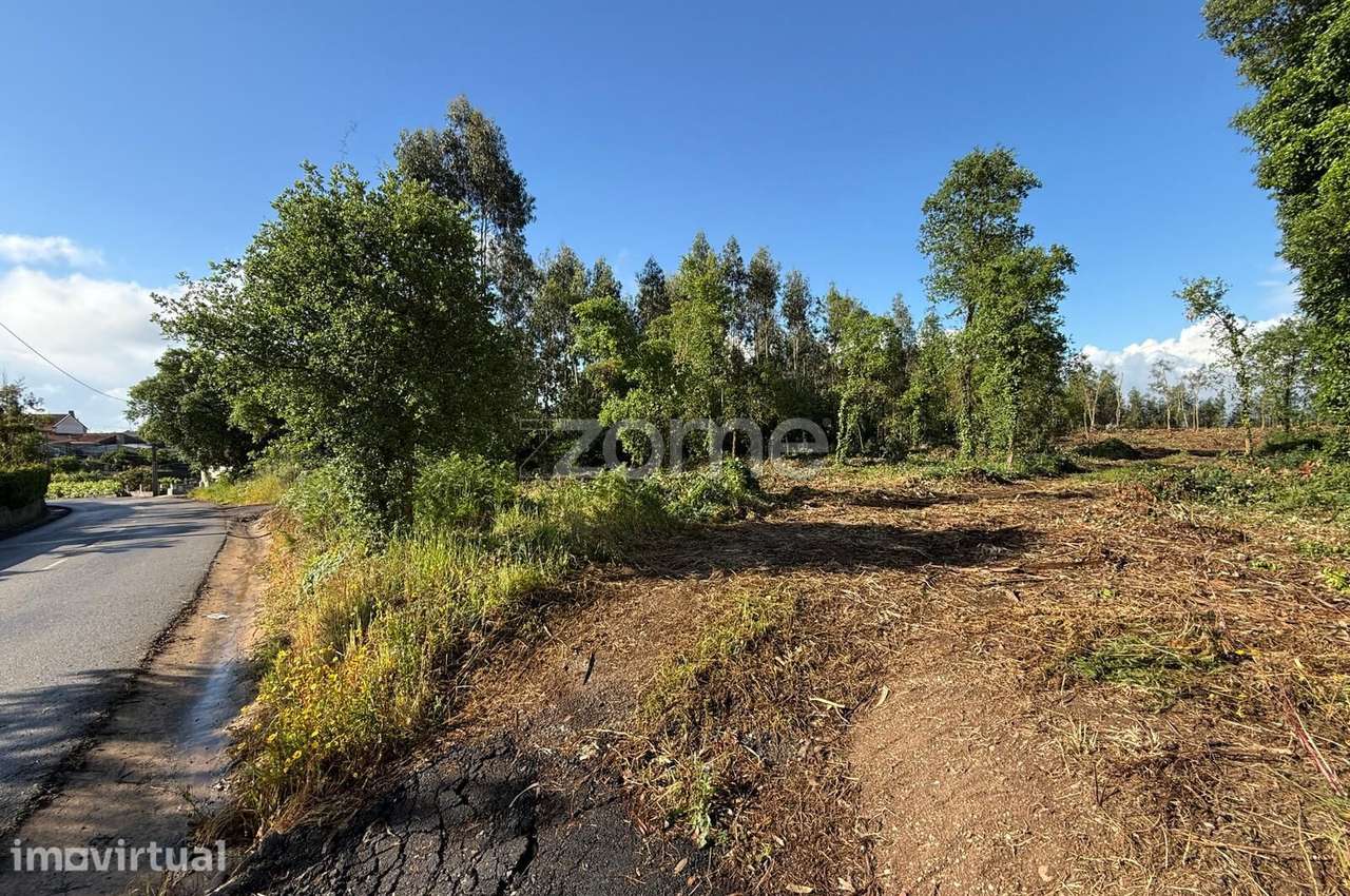 Terreno Urbanizável - Grande imagem: 4/15
