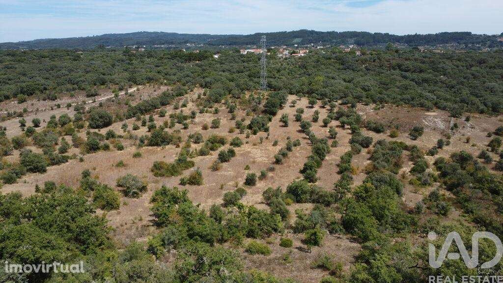 Terreno em Areias e Pias de 17000,00 m2 - Grande imagem: 3/26