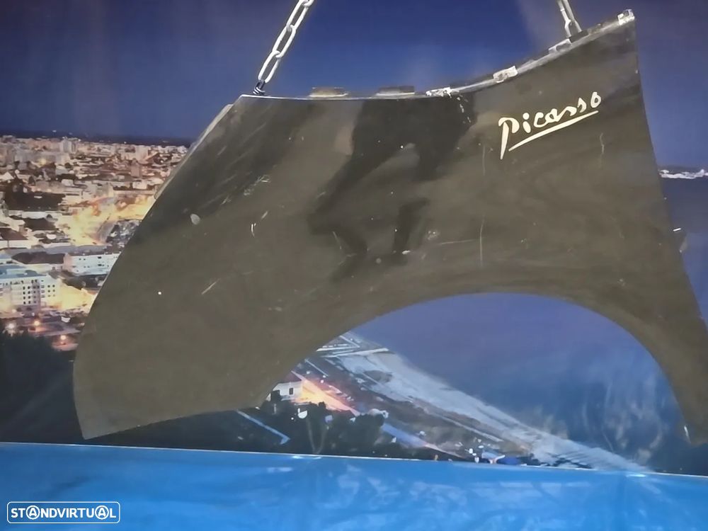 Guarda lama frente esquerda originais para Citroen C4 Picasso  2006 - 1