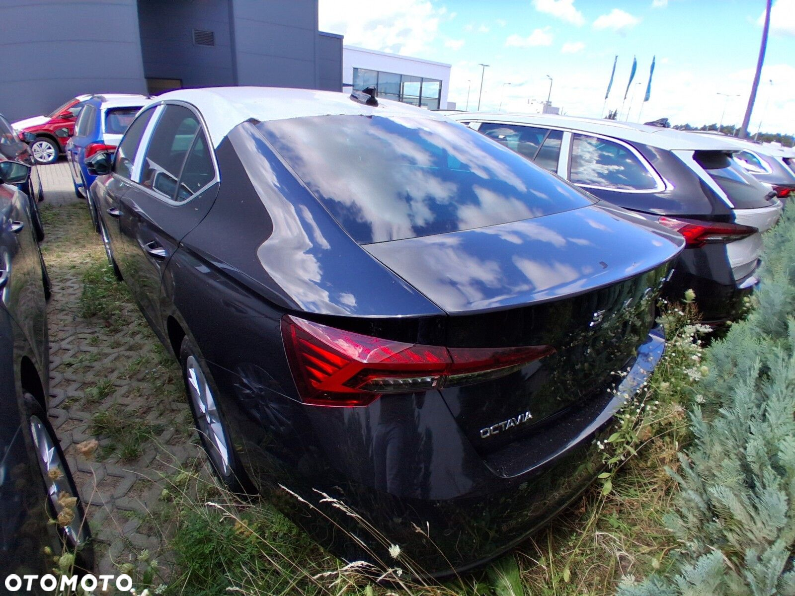 Skoda Octavia 1.5 TSI mHEV Edition 130 Selection DSG - 3