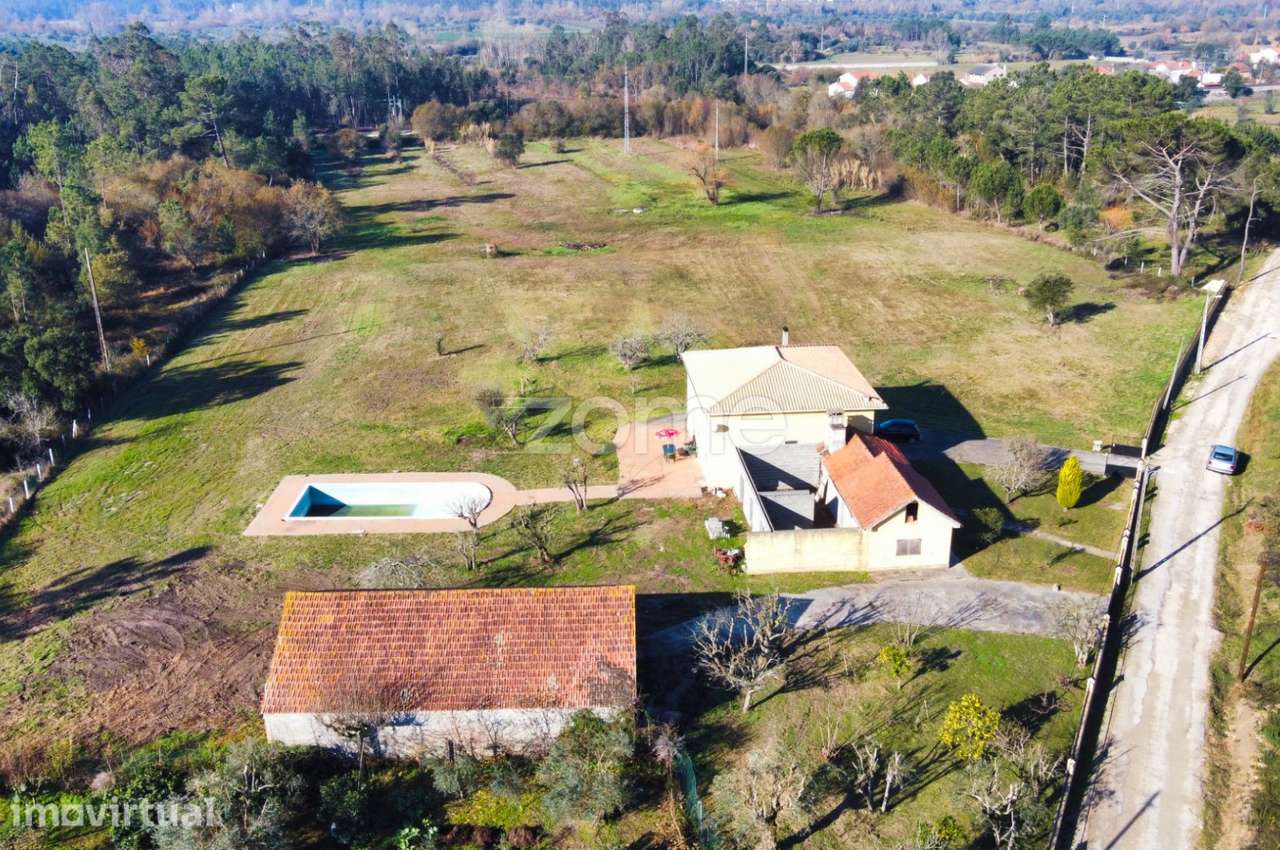Quinta com 27000 m2 próxima de Pombal e Soure - Grande imagem: 5/21