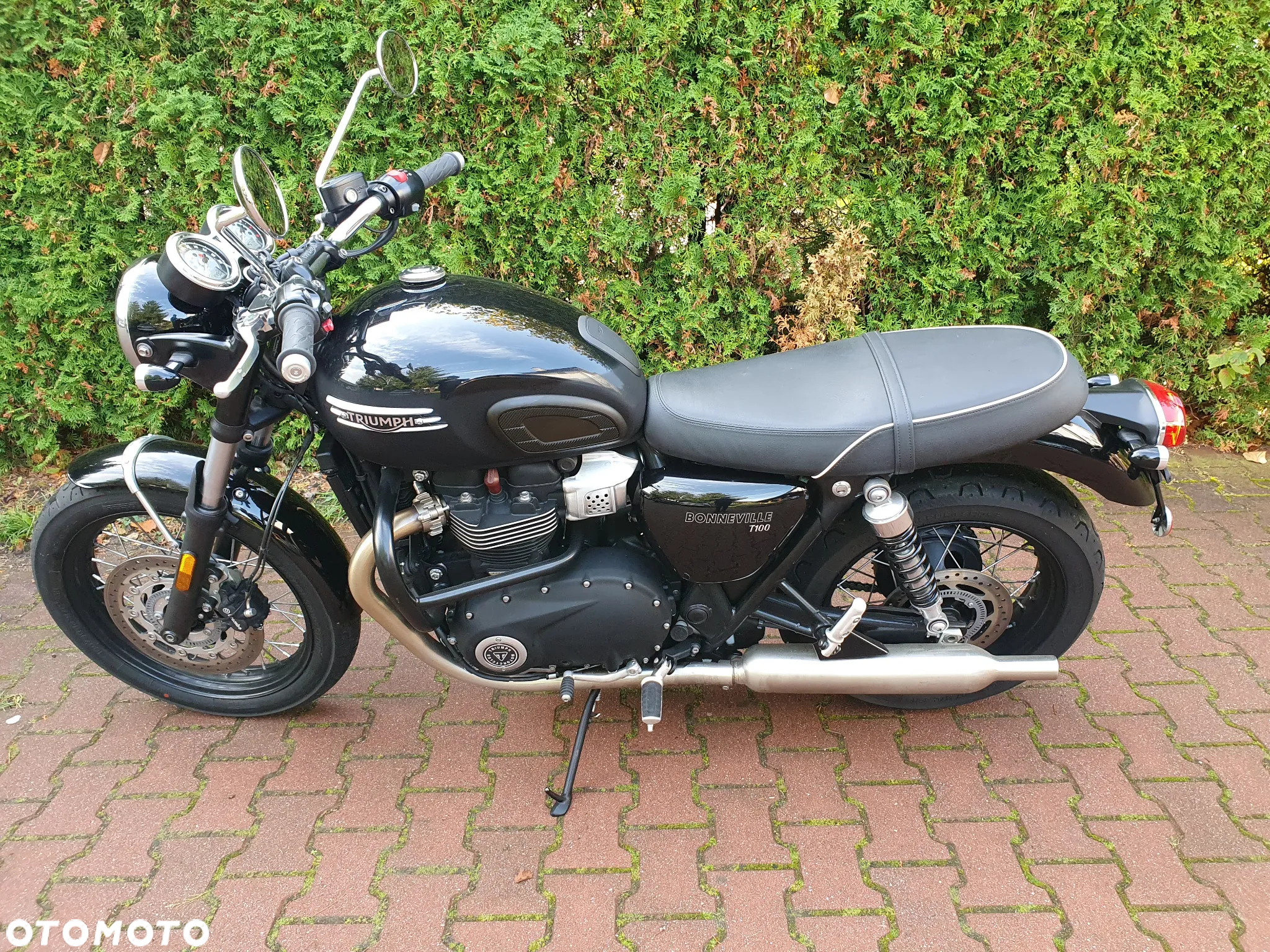 Triumph Bonneville - 10