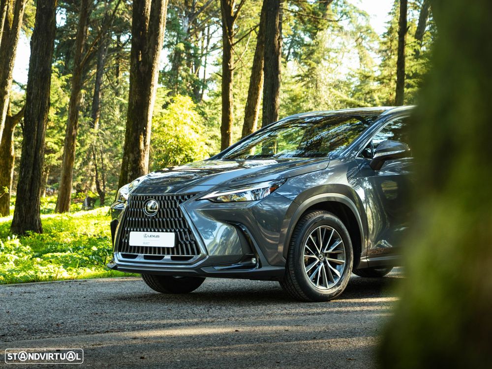 Lexus NX 350h Executive+ - 15