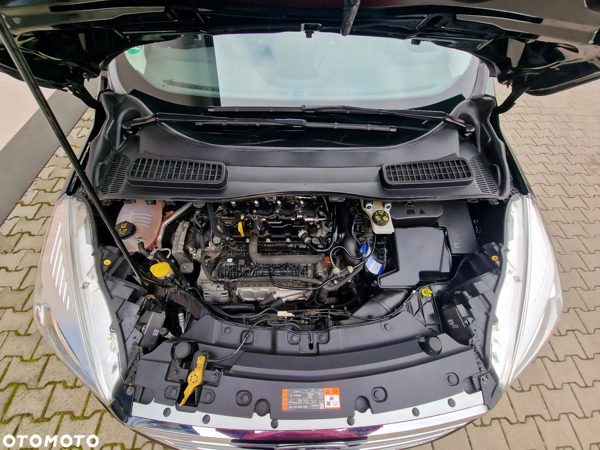 Ford Kuga 1.5 EcoBoost 2x4 Cool & Connect - 26