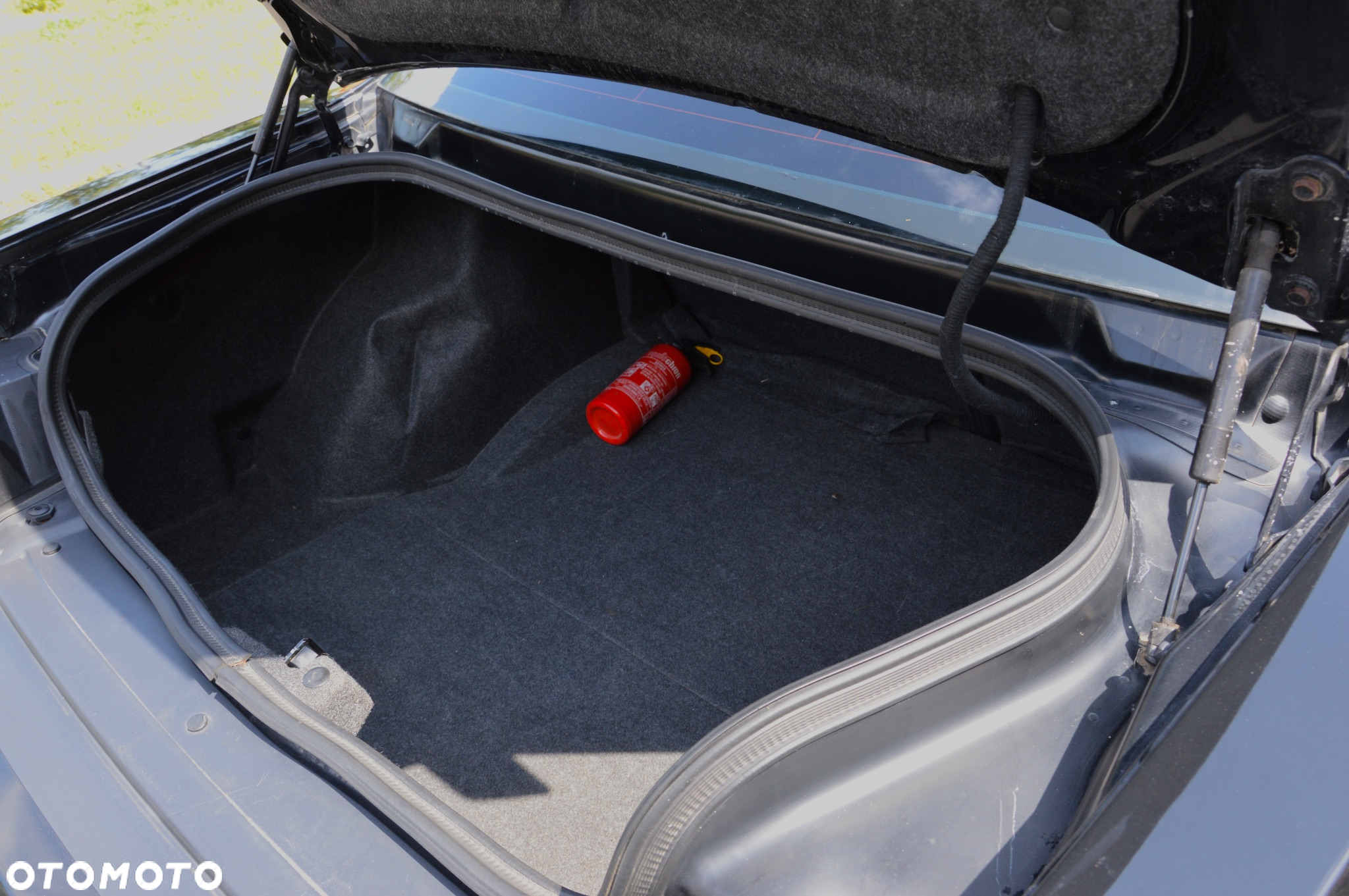 Dodge Challenger Automatik R/T Plus Shaker - 23