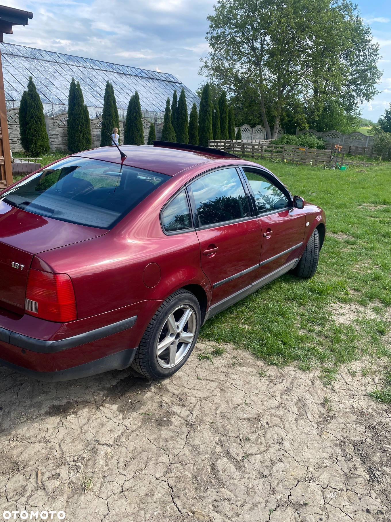 Volkswagen Passat - 5