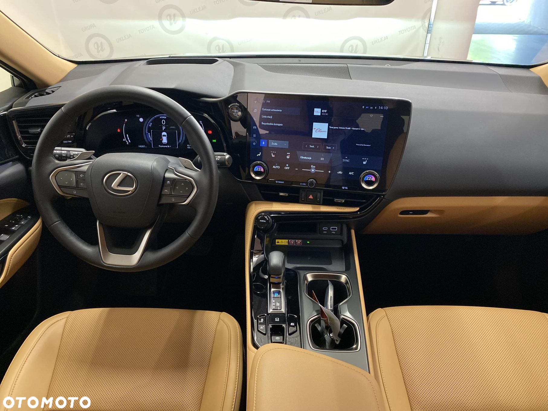 Lexus NX - 12