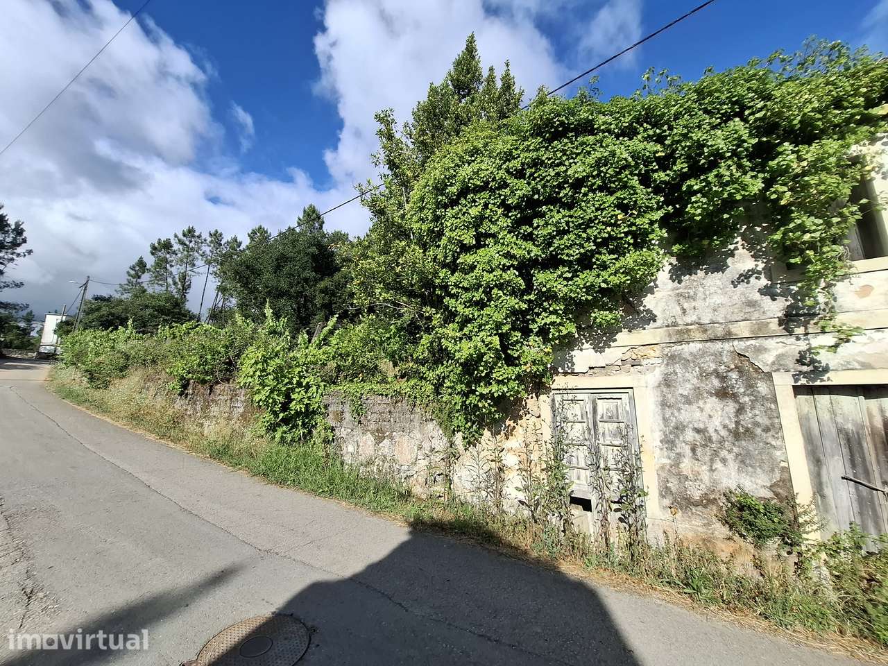 Quinta com 5.350 m2 de Terreno a 20 min de Coimbra - Grande imagem: 4/11