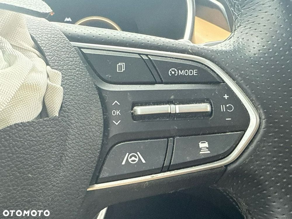 Hyundai Santa Fe - 32