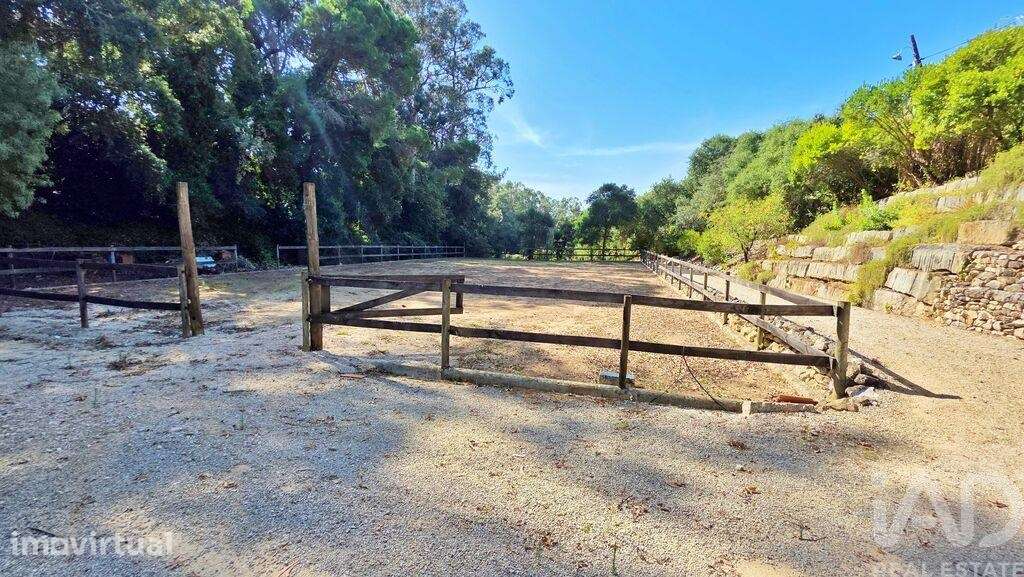 Quinta T5 em Carvalhal de 548 m2 - Grande imagem: 3/40