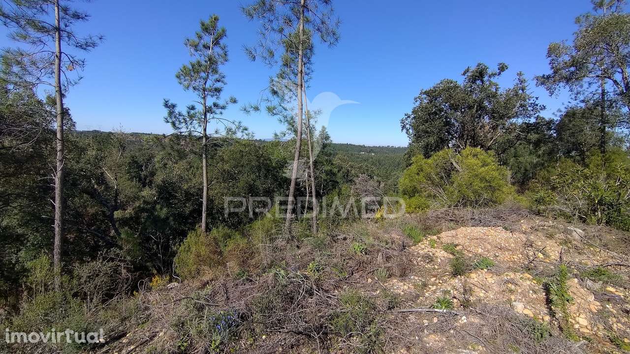 Terreno Rústico 4280 m2 - Grande imagem: 2/33