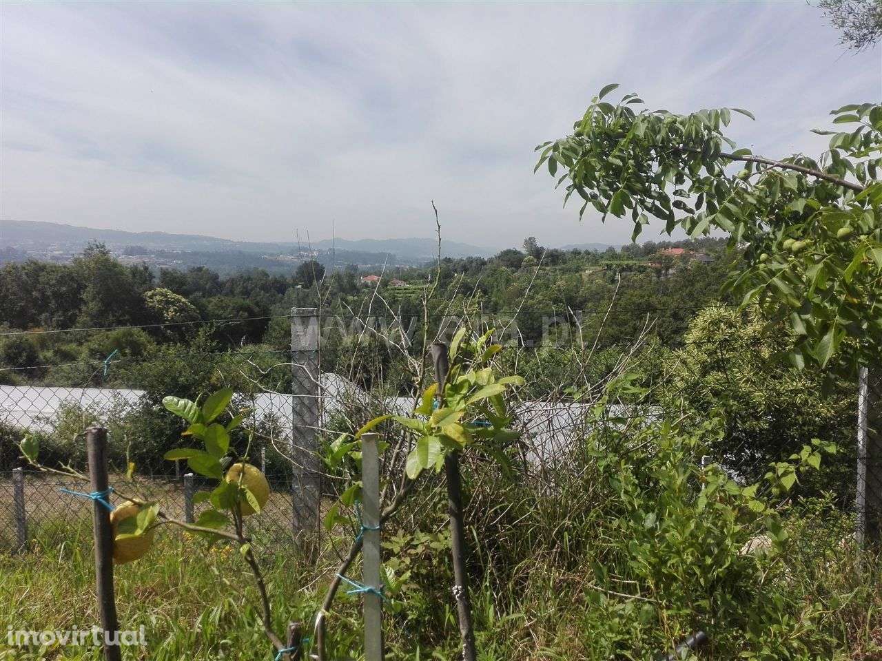 Quinta - Grande imagem: 4/20