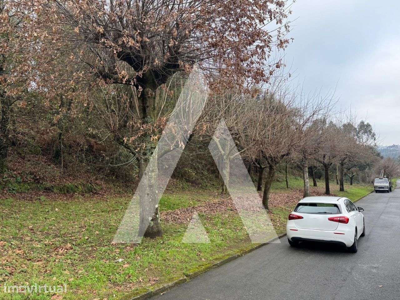 Terreno localizado no vale da Cova em Nogueira do Cravo! - Grande imagem: 4/14